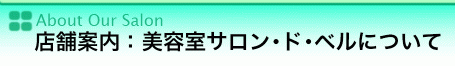 About Our Salon | �X�܈ē��F���e���T�����E�h�E�x���ɂ���